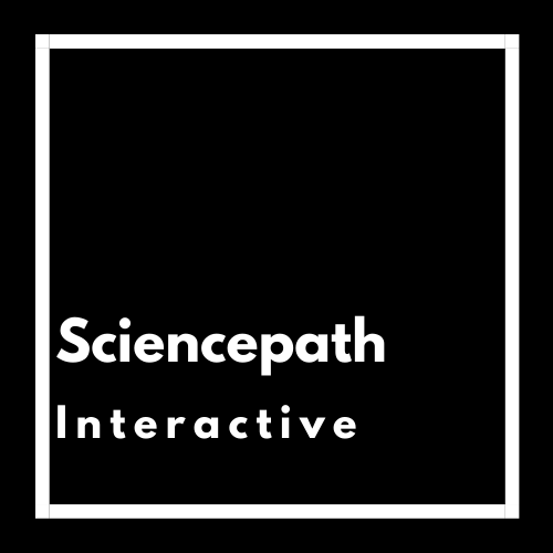 ventureville-digital-digital-marketing-ecommerce-marketing-analytics